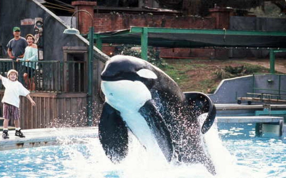 El reboot de ‘Liberad a Willy’ está en marcha en manos de los hermanos Russo