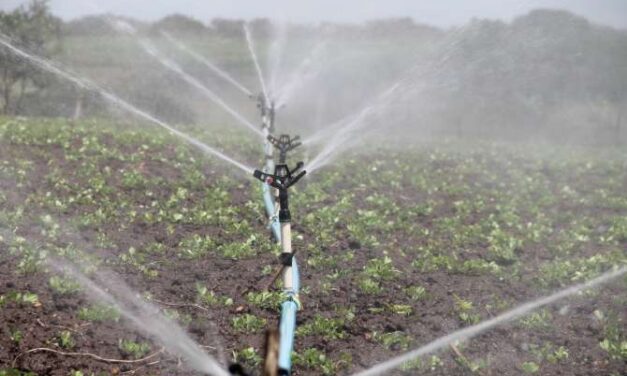 Grandes inventos de la humanidad: La irrigación