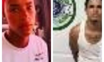 Policía Cibernética captura a dos personas vinculadas a presuntas estafas electrónicas en Puerto Plata y Santiago