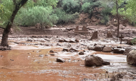 Al menos 15 personas podrían estar desaparecidas tras repentina inundación en Gran Cañón