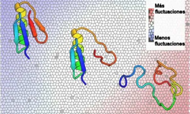 Logran cartografiar simultáneamente los cambios de miles de proteínas