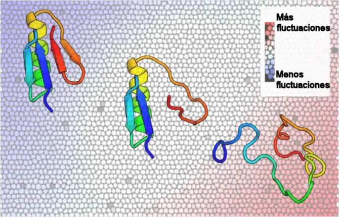 Logran cartografiar simultáneamente los cambios de miles de proteínas