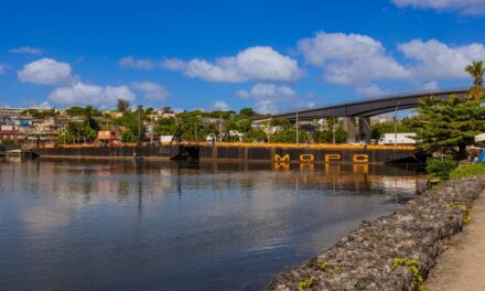 Puente Flotante será cerrado este sábado durante dos horas por paso de embarcaciones