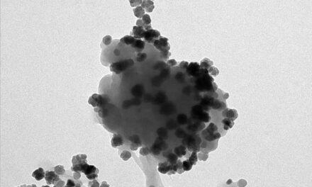 Método para capturar nanoplásticos del agua y convertirlos en materiales descontaminantes de metales pesados