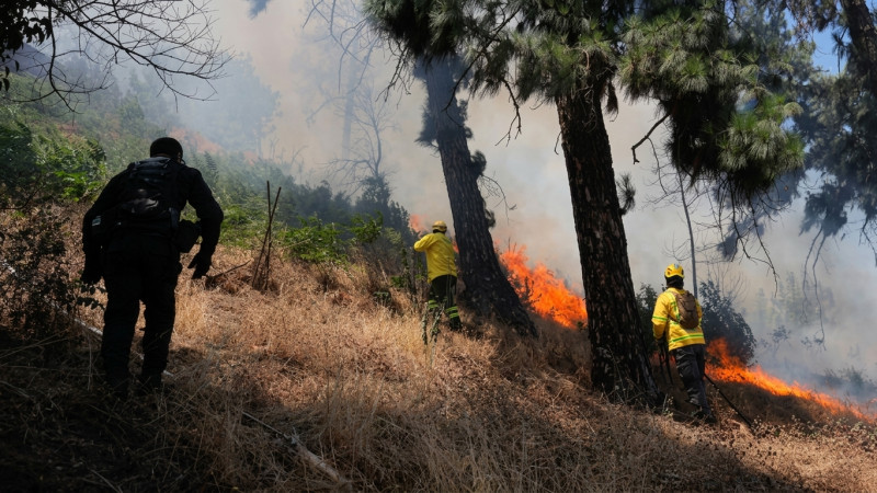 Exigen enfrentar desde el Gobierno “terrorismo ambiental”
