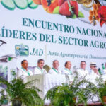 Abinader informa negociaciones con el Gobierno de EEUU para proteger la producción nacional de arroz