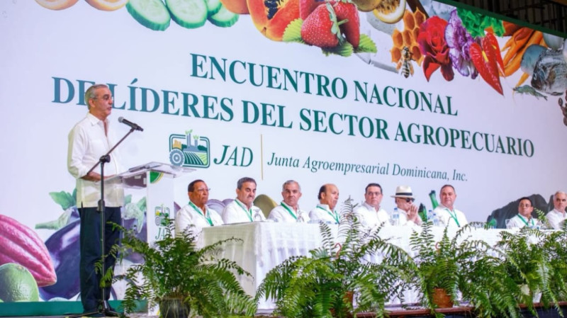 Abinader informa negociaciones con el Gobierno de EEUU para proteger la producción nacional de arroz