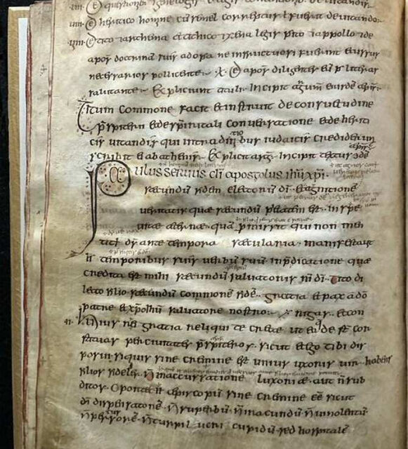 Revelaciones epidémicas contenidas en ADN milenario detectado en libros