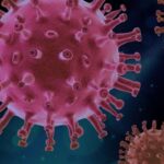 Ni muertos ni vivos: cómo los «zombies» de la biología redactan en la sombra el libro de la evolución