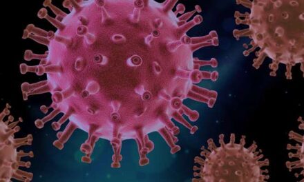 Ni muertos ni vivos: cómo los «zombies» de la biología redactan en la sombra el libro de la evolución