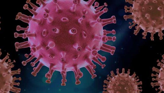 Ni muertos ni vivos: cómo los «zombies» de la biología redactan en la sombra el libro de la evolución