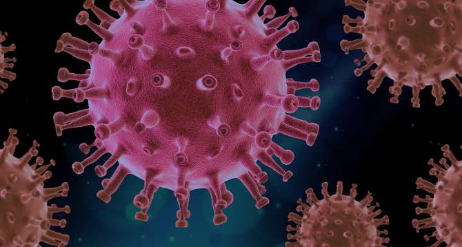 Ni muertos ni vivos: cómo los «zombies» de la biología redactan en la sombra el libro de la evolución