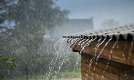 Se acerca onda tropical que traerá lluvias a San Cristobal y 8 provincias, incluyendo Santo Domingo