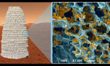 Construir viviendas en Marte con la ayuda de una levadura