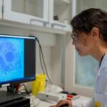 Retinas ciegas reaccionan a la luz tras inyectarles unas nanopartículas especiales