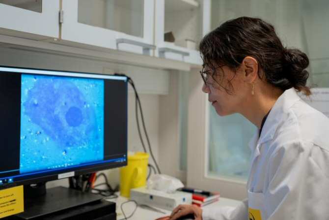 Retinas ciegas reaccionan a la luz tras inyectarles unas nanopartículas especiales