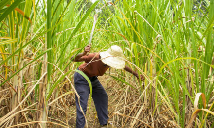 República Dominicana amplía su acceso al mercado azucarero de Estados Unidos