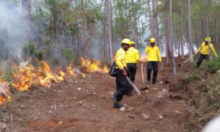 OBSERVATORIO DE ÁREAS PROTEGIDAS ALERTA SOBRE UNA EMERGENCIA POR INCENDIOS FORESTALES EN REPÚBLICA DOMINICANA
