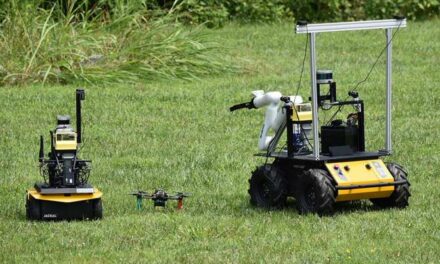 Robots con inteligencia artificial trabajando en equipo sin ayuda humana