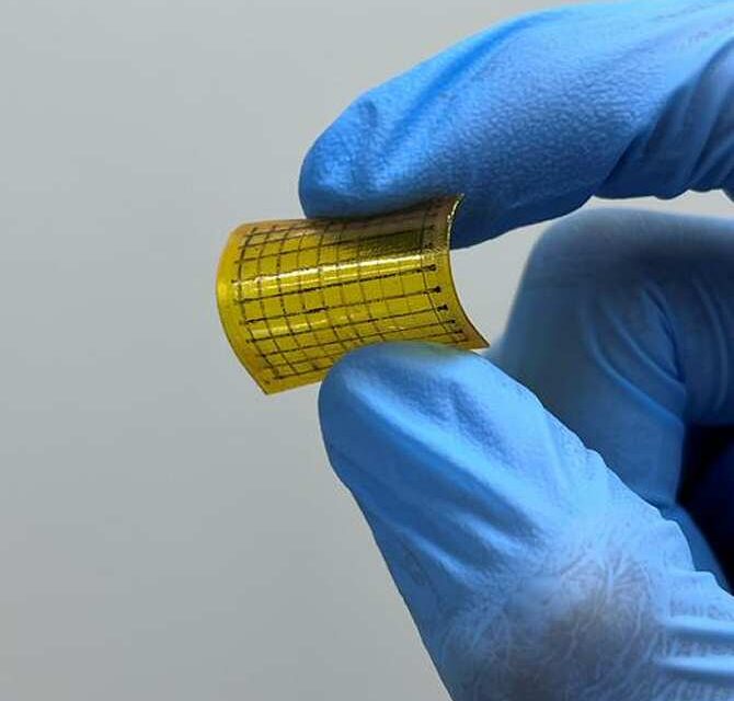 Imprimen chips de computación flexibles, ultraveloces y degradables inspirados en el cerebro humano