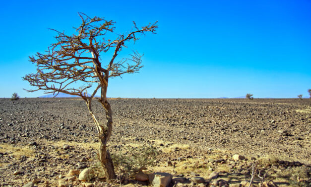 RD enfrentará riesgo moderado pero persistente por El Niño