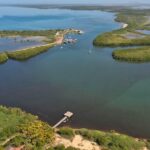CEBAMDER advierte al Directorio del Grupo BID que demanda de 200 millones de dólares cuestiona su reputación por financiar un proyecto de energía dentro del Parque de Manglares en Manzanillo