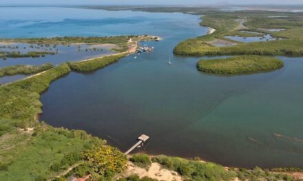 CEBAMDER advierte al Directorio del Grupo BID que demanda de 200 millones de dólares cuestiona su reputación por financiar un proyecto de energía dentro del Parque de Manglares en Manzanillo