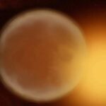 Composición química y temperatura inusuales en el planeta HATS-6 b