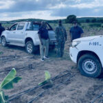 Migración detecta cerca de 700 extranjeros irregulares en fincas agrícolas del país