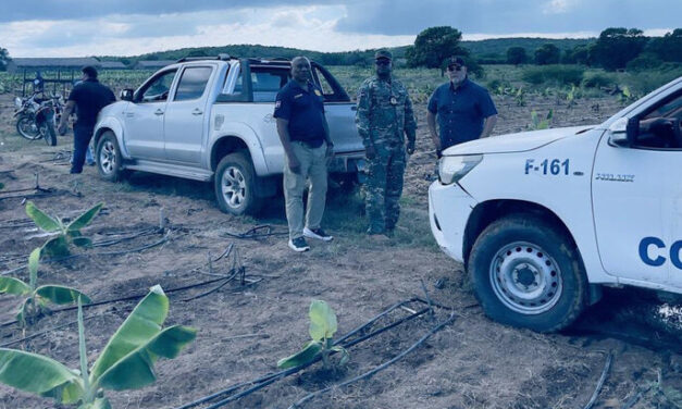 Migración detecta cerca de 700 extranjeros irregulares en fincas agrícolas del país