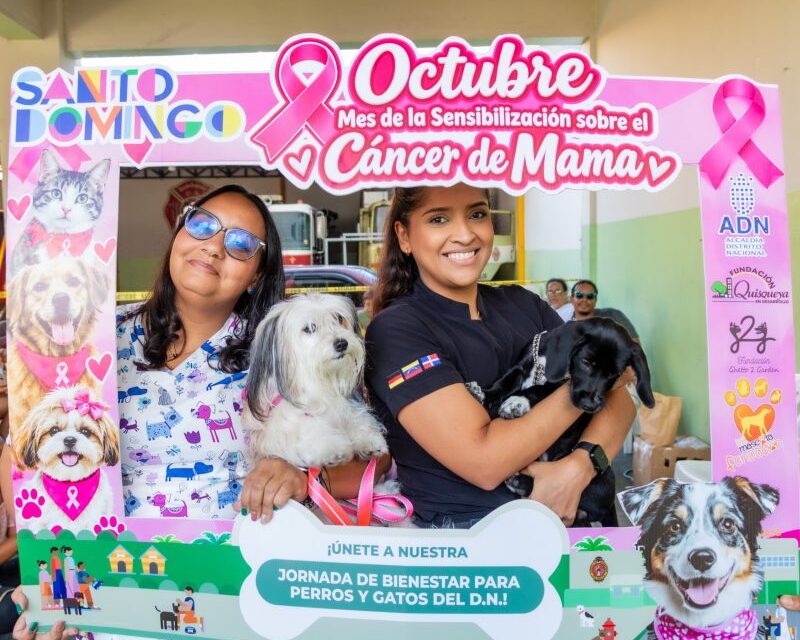 Alcaldía del Distrito Nacional esteriliza 107 perros y gatos en jornada de bienestar animal