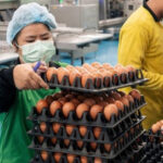 El FMI sugiere aplicar ayudas focalizadas, en lugar de subsidios generalizados