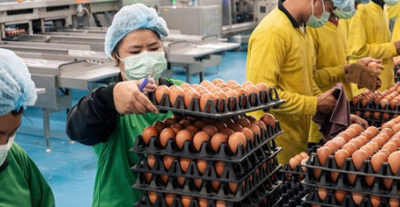 El FMI sugiere aplicar ayudas focalizadas, en lugar de subsidios generalizados