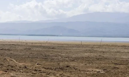 Pescadores denuncian acelerada reducción del nivel de la laguna Rincón